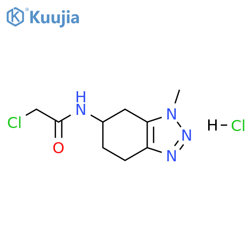 2-chloro-N-(1-methyl-4,5,6,7-tetrahydro-1H-1,2,3-benzotriazol-6-yl)acetamide hydrochloride structure