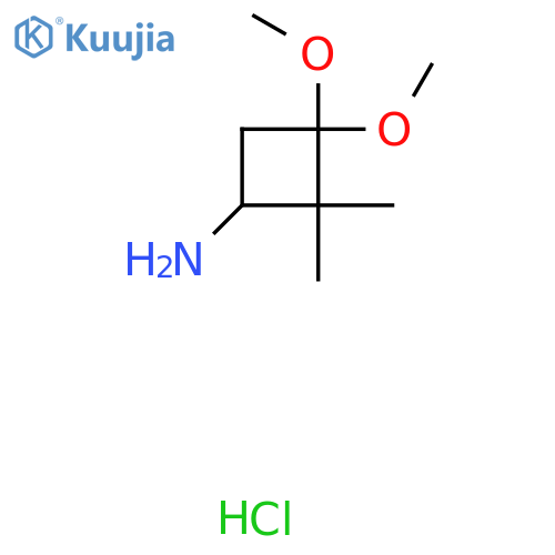 3,3-dimethoxy-2,2-dimethylcyclobutan-1-amine hydrochloride structure