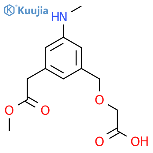 2-{3-(2-methoxy-2-oxoethyl)-5-(methylamino)phenylmethoxy}acetic acid structure