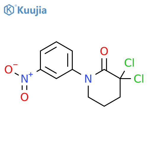 2-Piperidinone, 3,3-dichloro-1-(3-nitrophenyl)- structure