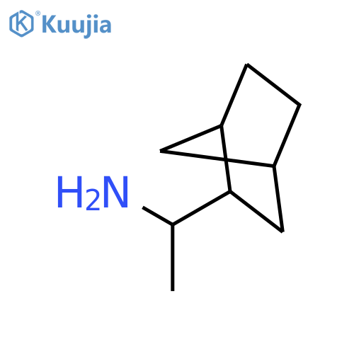 1-{bicyclo[2.2.1]heptan-2-yl}ethan-1-amine structure