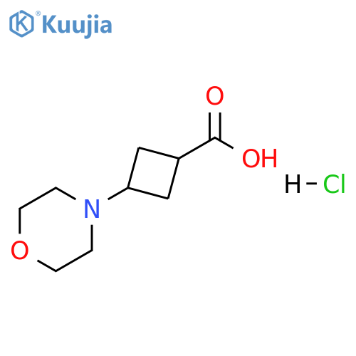 3-(morpholin-4-yl)cyclobutane-1-carboxylic acid hydrochloride structure