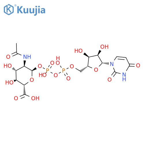 97: PN: US20050031584 PAGE: 155 claimed DNA structure