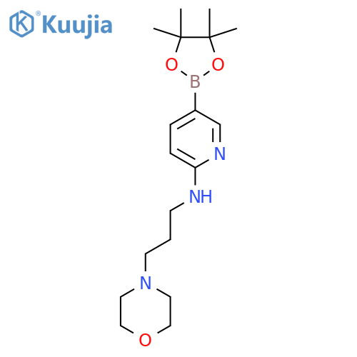N-[3-(Morpholin-4-yl)propyl]-5-(tetramethyl-1,3,2-dioxaborolan-2-yl)pyridin-2-amine structure