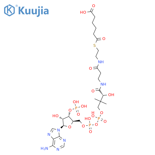 Adipoyl-CoA structure