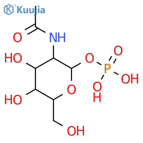 Poly(N-acetylglucosamine 1-phosphate) structure
