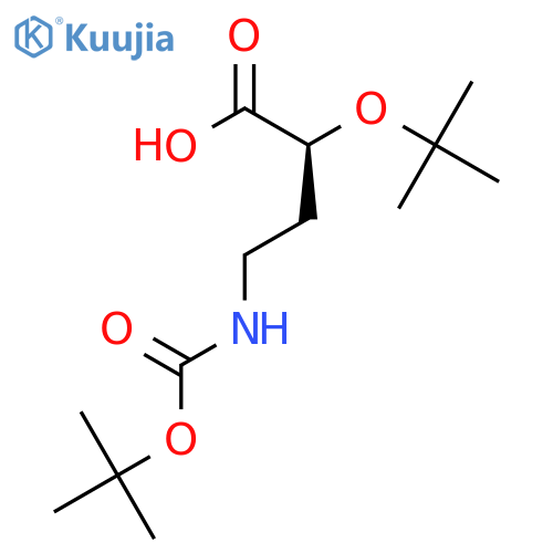 (2S)-2-(tert-butoxy)-4-{(tert-butoxy)carbonylamino}butanoic acid structure