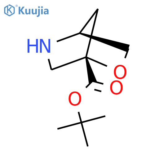 tert-butyl (1S,4S)-2-oxa-5-azabicyclo2.2.1heptane-1-carboxylate structure