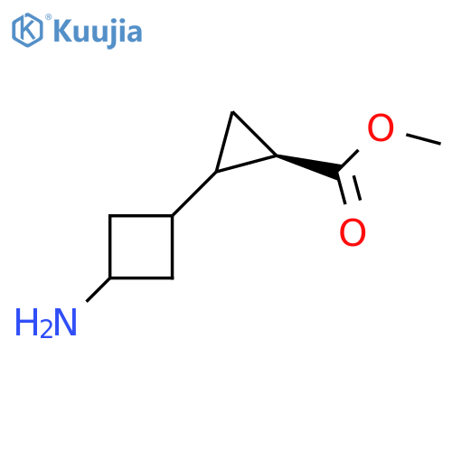rac-methyl (1S)-2-(1r,3r)-3-aminocyclobutylcyclopropane-1-carboxylate structure