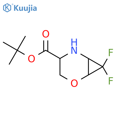 Tert-butyl 7,7-difluoro-2-oxa-5-azabicyclo[4.1.0]heptane-4-carboxylate structure