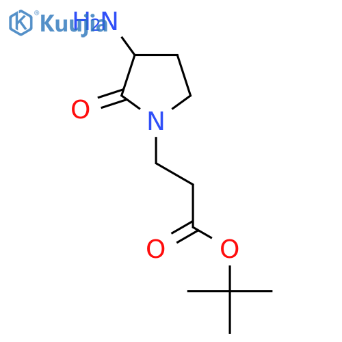 tert-butyl 3-(3-amino-2-oxopyrrolidin-1-yl)propanoate structure