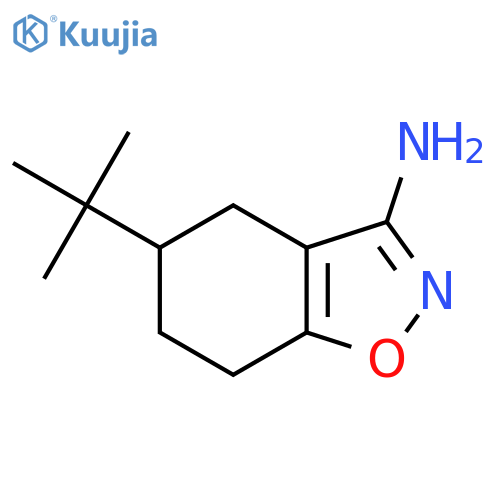 5-Tert-butyl-4,5,6,7-tetrahydro-1,2-benzoxazol-3-amine structure