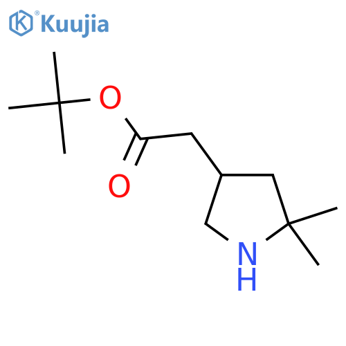 Tert-butyl 2-(5,5-dimethylpyrrolidin-3-yl)acetate structure