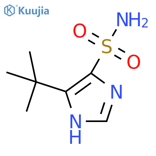 5-tert-butyl-1H-imidazole-4-sulfonamide structure