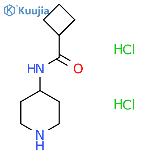 N-(piperidin-4-yl)cyclobutanecarboxamide dihydrochloride structure