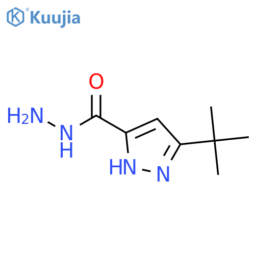 3-tert-butyl-1H-pyrazole-5-carbohydrazide structure