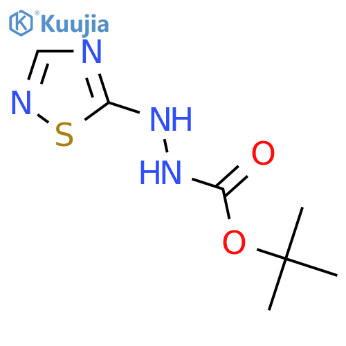 N'-(1,2,4-thiadiazol-5-yl)(tert-butoxy)carbohydrazide structure