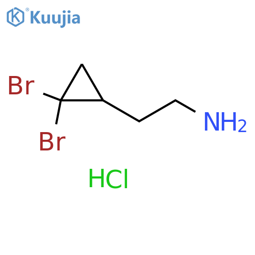 2-(2,2-dibromocyclopropyl)ethan-1-amine hydrochloride structure