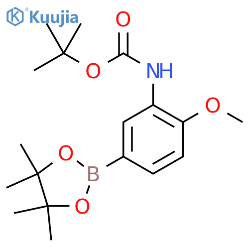 tert-butyl (2-methoxy-5-(4,4,5,5-tetramethyl-1,3,2-dioxaborolan-2-yl)phenyl)carbamate structure