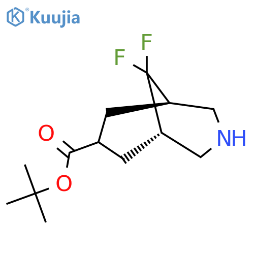 tert-butyl (1R,5S,7s)-9,9-difluoro-3-azabicyclo3.3.1nonane-7-carboxylate structure