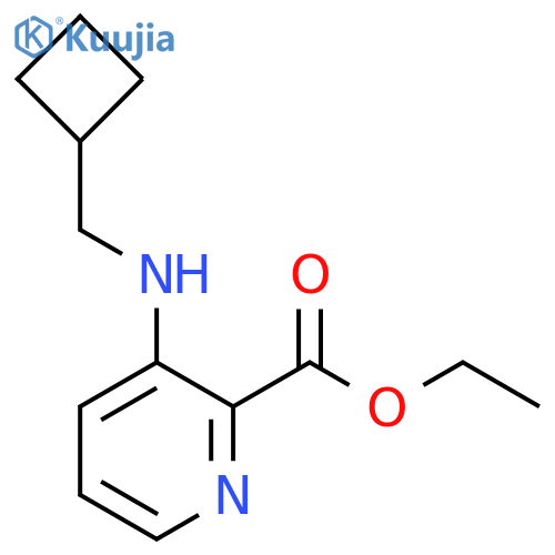 ethyl 3-(cyclobutylmethyl)aminopyridine-2-carboxylate structure
