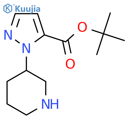 tert-butyl 1-(piperidin-3-yl)-1H-pyrazole-5-carboxylate structure
