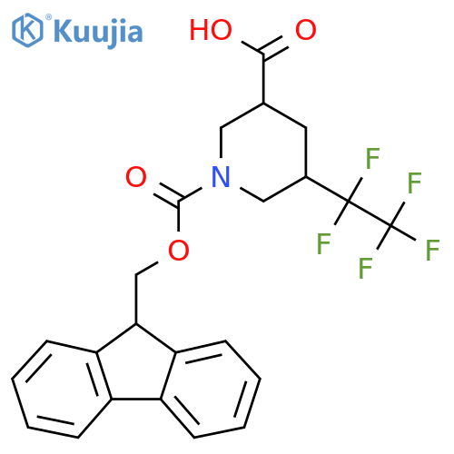 1-{(9H-fluoren-9-yl)methoxycarbonyl}-5-(1,1,2,2,2-pentafluoroethyl)piperidine-3-carboxylic acid structure