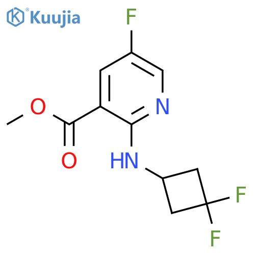 Methyl 2-[(3,3-difluorocyclobutyl)amino]-5-fluoropyridine-3-carboxylate structure