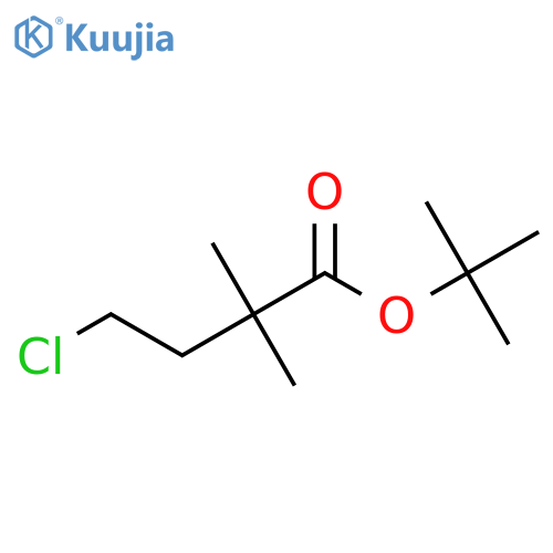 Tert-butyl 4-chloro-2,2-dimethylbutanoate structure