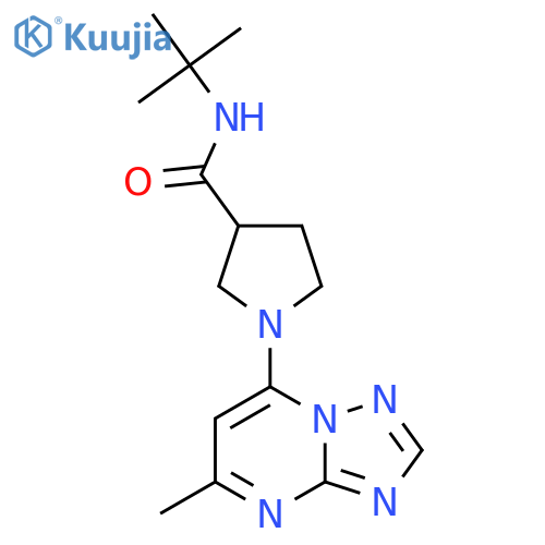 N-tert-butyl-1-{5-methyl-[1,2,4]triazolo[1,5-a]pyrimidin-7-yl}pyrrolidine-3-carboxamide structure