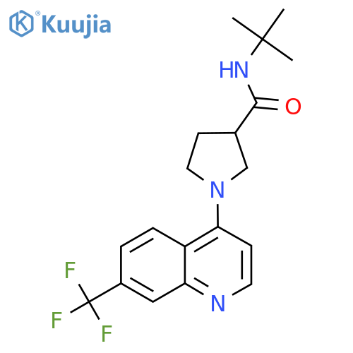 N-tert-butyl-1-[7-(trifluoromethyl)quinolin-4-yl]pyrrolidine-3-carboxamide structure