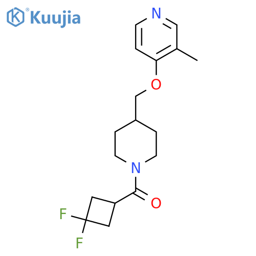 4-{[1-(3,3-Difluorocyclobutanecarbonyl)piperidin-4-yl]methoxy}-3-methylpyridine structure