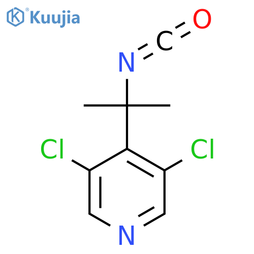 3,5-dichloro-4-(2-isocyanatopropan-2-yl)pyridine structure