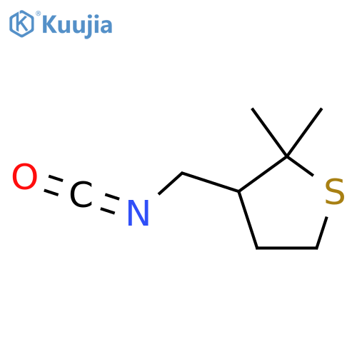 3-(isocyanatomethyl)-2,2-dimethylthiolane structure
