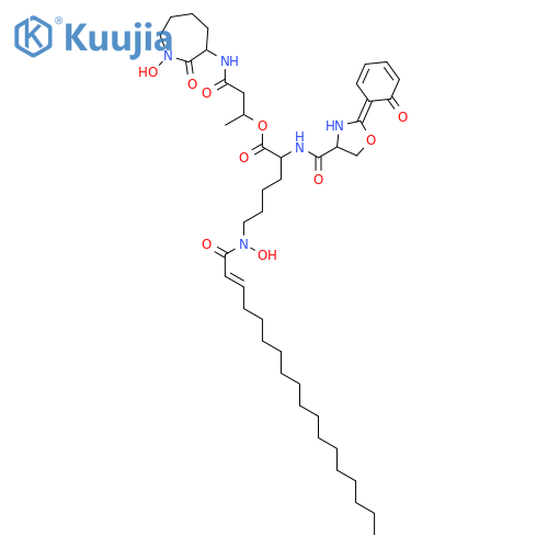 3-[(1-hydroxy-2-oxoazepan-3-yl)amino]-1-methyl-3-oxopropyl N~6~-hydroxy-N~6~-[(2E)-octadec-2-enoyl]-N~2~-{[(2E)-2-(6-oxocyclohexa-2,4-dien-1-ylidene)-1,3-oxazolidin-4-yl]carbonyl}lysinate structure