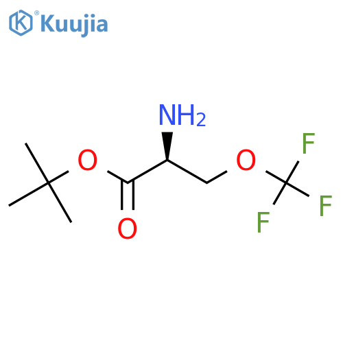 tert-butyl (2S)-2-amino-3-(trifluoromethoxy)propanoate structure
