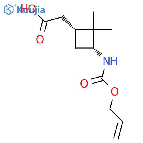 rac-2-(1R,3R)-2,2-dimethyl-3-{(prop-2-en-1-yloxy)carbonylamino}cyclobutylacetic acid structure