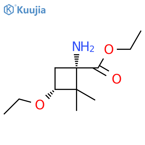 rac-ethyl (1R,3S)-1-amino-3-ethoxy-2,2-dimethylcyclobutane-1-carboxylate structure