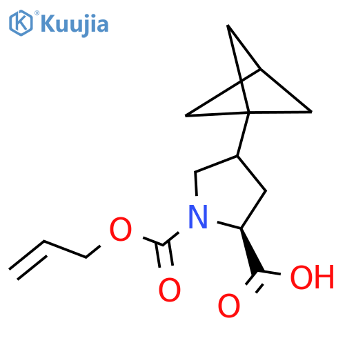 (2S)-4-{bicyclo1.1.1pentan-1-yl}-1-(prop-2-en-1-yloxy)carbonylpyrrolidine-2-carboxylic acid structure