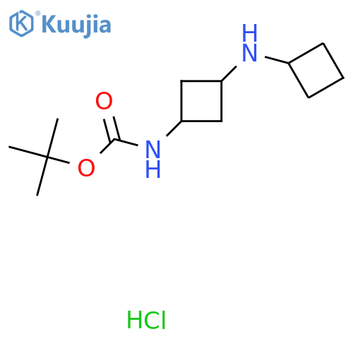 rac-tert-butyl N-(1r,3r)-3-(cyclobutylamino)cyclobutylcarbamate hydrochloride, trans structure
