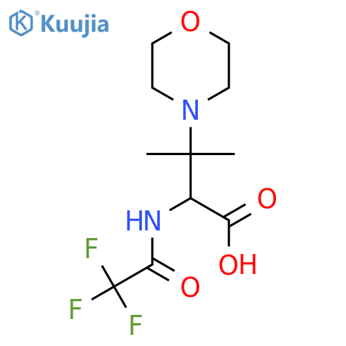 3-Methyl-3-(morpholin-4-yl)-2-(2,2,2-trifluoroacetamido)butanoic acid structure