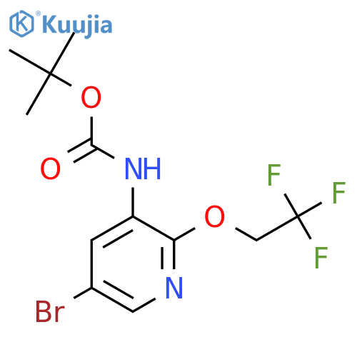 tert-butyl N-5-bromo-2-(2,2,2-trifluoroethoxy)pyridin-3-ylcarbamate structure