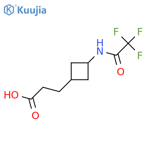 3-[3-(Trifluoroacetamido)cyclobutyl]propanoic acid structure