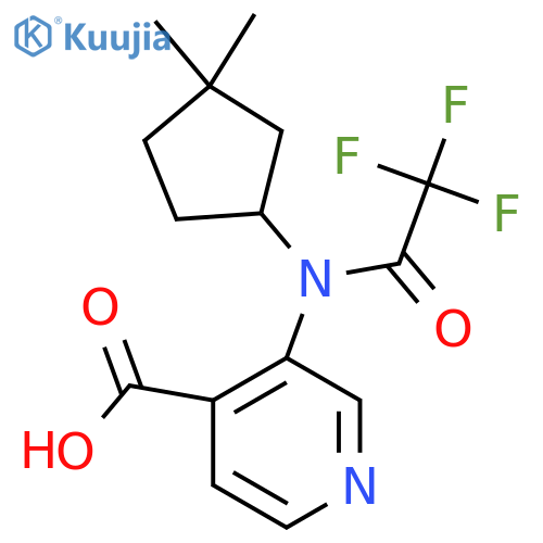 3-[N-(3,3-dimethylcyclopentyl)-2,2,2-trifluoroacetamido]pyridine-4-carboxylic acid structure