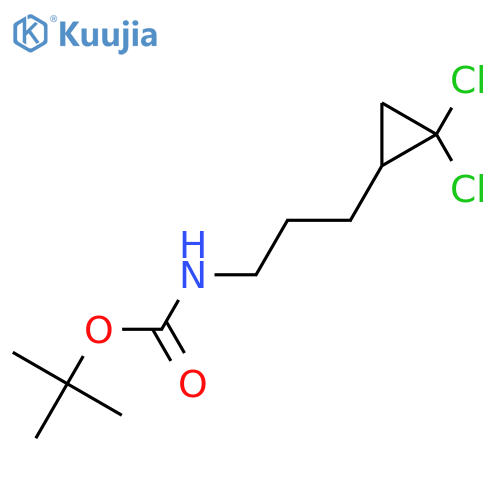 tert-butyl N-[3-(2,2-dichlorocyclopropyl)propyl]carbamate structure