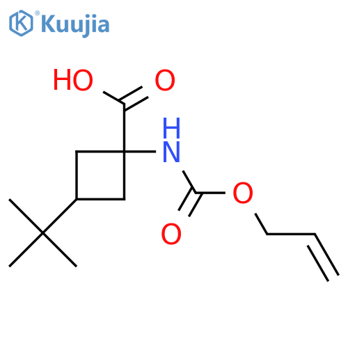 3-tert-butyl-1-{(prop-2-en-1-yloxy)carbonylamino}cyclobutane-1-carboxylic acid structure
