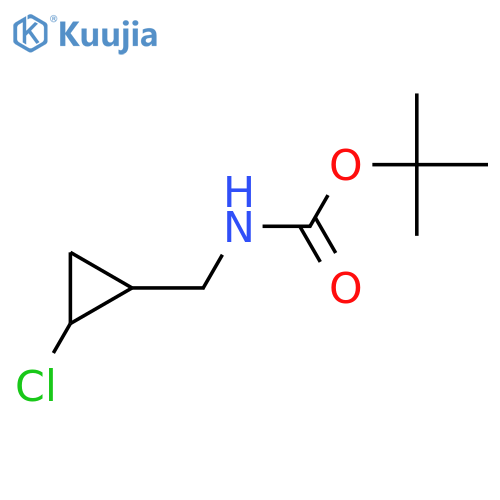 tert-butyl N-(2-chlorocyclopropyl)methylcarbamate structure