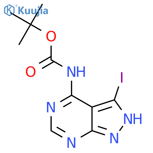 tert-butyl N-{3-iodo-1H-pyrazolo3,4-dpyrimidin-4-yl}carbamate structure