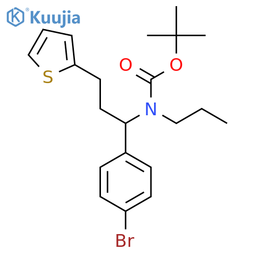 tert-butyl N-1-(4-bromophenyl)-3-(thiophen-2-yl)propyl-N-propylcarbamate structure