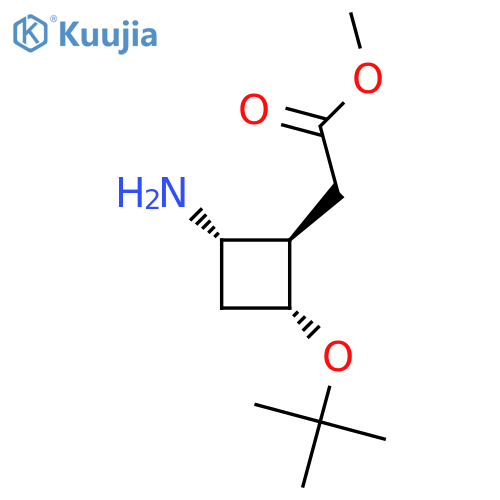 methyl 2-(1R,2S,4R)-2-amino-4-(tert-butoxy)cyclobutylacetate structure